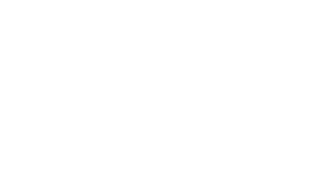 Willowmoor Investments logo